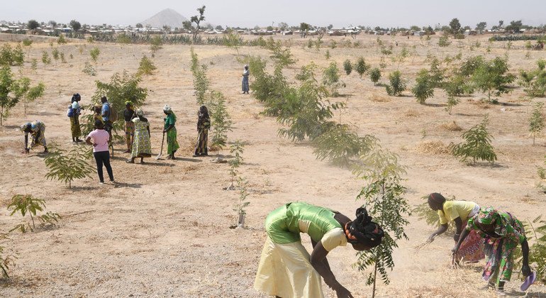 La Semaine africaine du climat a pour objectif de créer un élan régional avant la COP 26